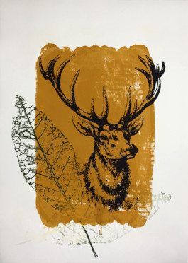 Bettina Escaño Papoli-Barawati