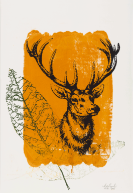 Bettina Escaño Papoli-Barawati